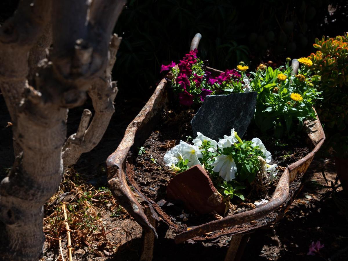 Finca El Moral Puerto De Mogan Εξωτερικό φωτογραφία
