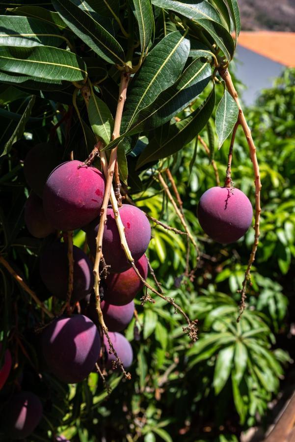 Finca El Moral Puerto De Mogan Εξωτερικό φωτογραφία