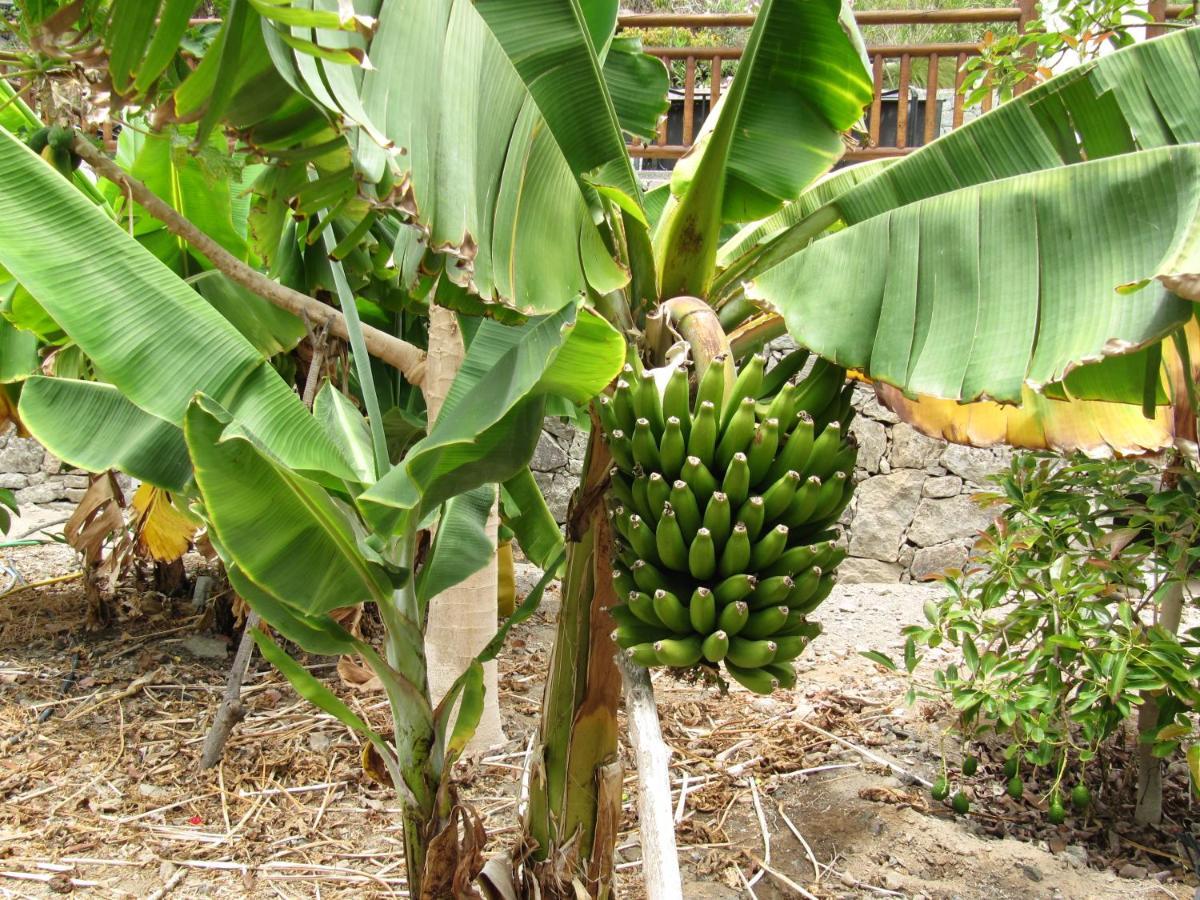 Finca El Moral Puerto De Mogan Εξωτερικό φωτογραφία